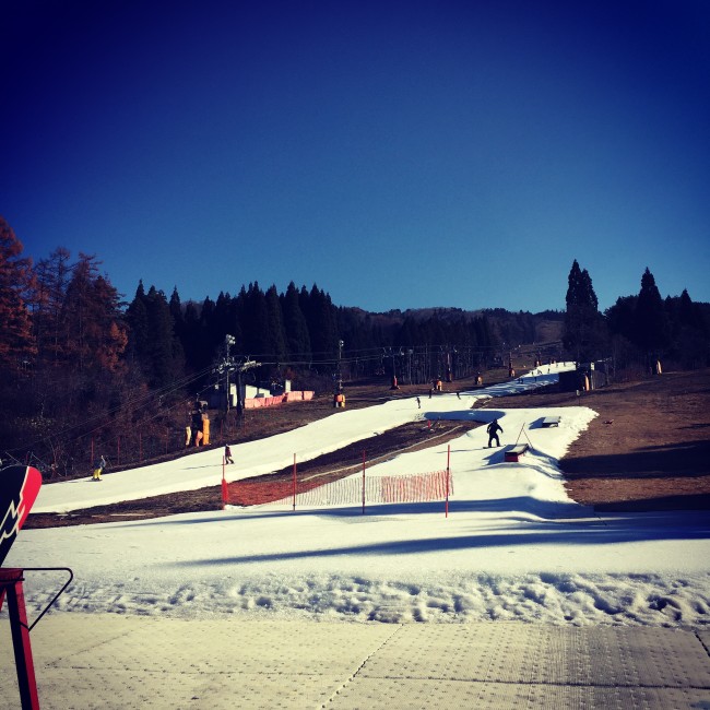 写真 2014-11-27 9 53 43