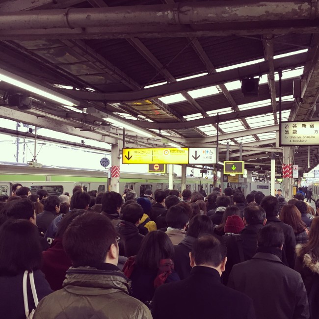 写真 2015-01-15 8 51 15