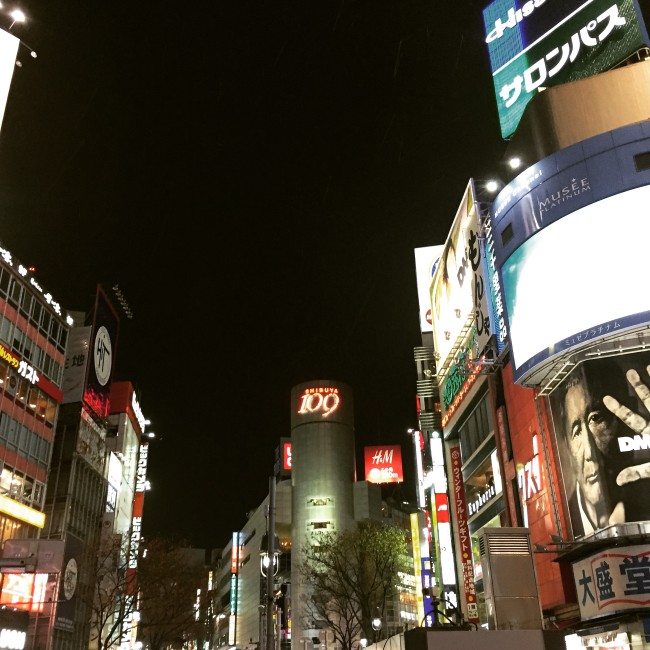 写真 2015-01-15 20 04 15
