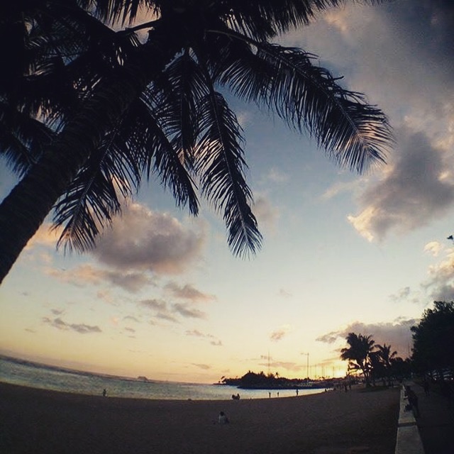 写真 2015-07-14 14 49 15