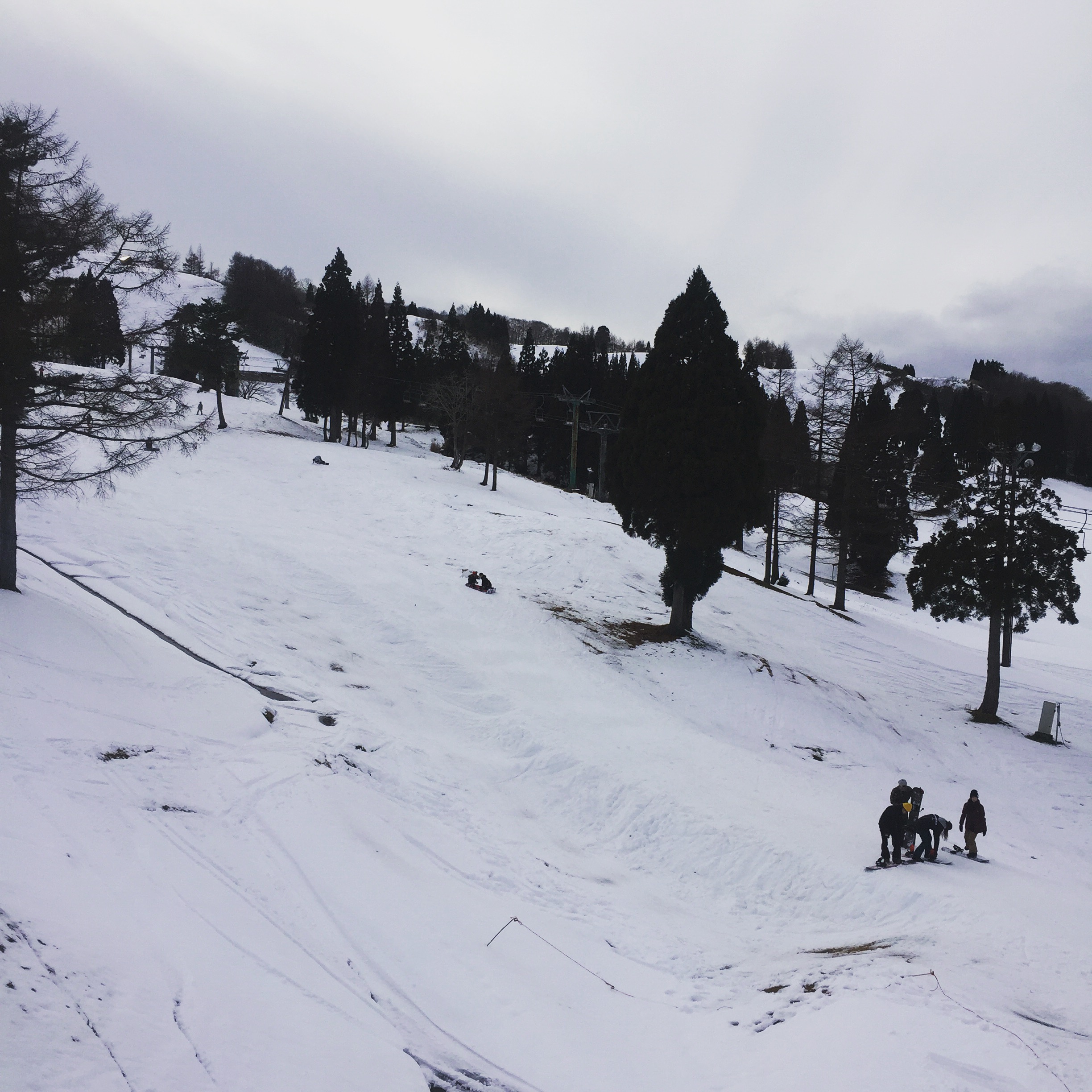 写真 2015-11-29 14 03 51