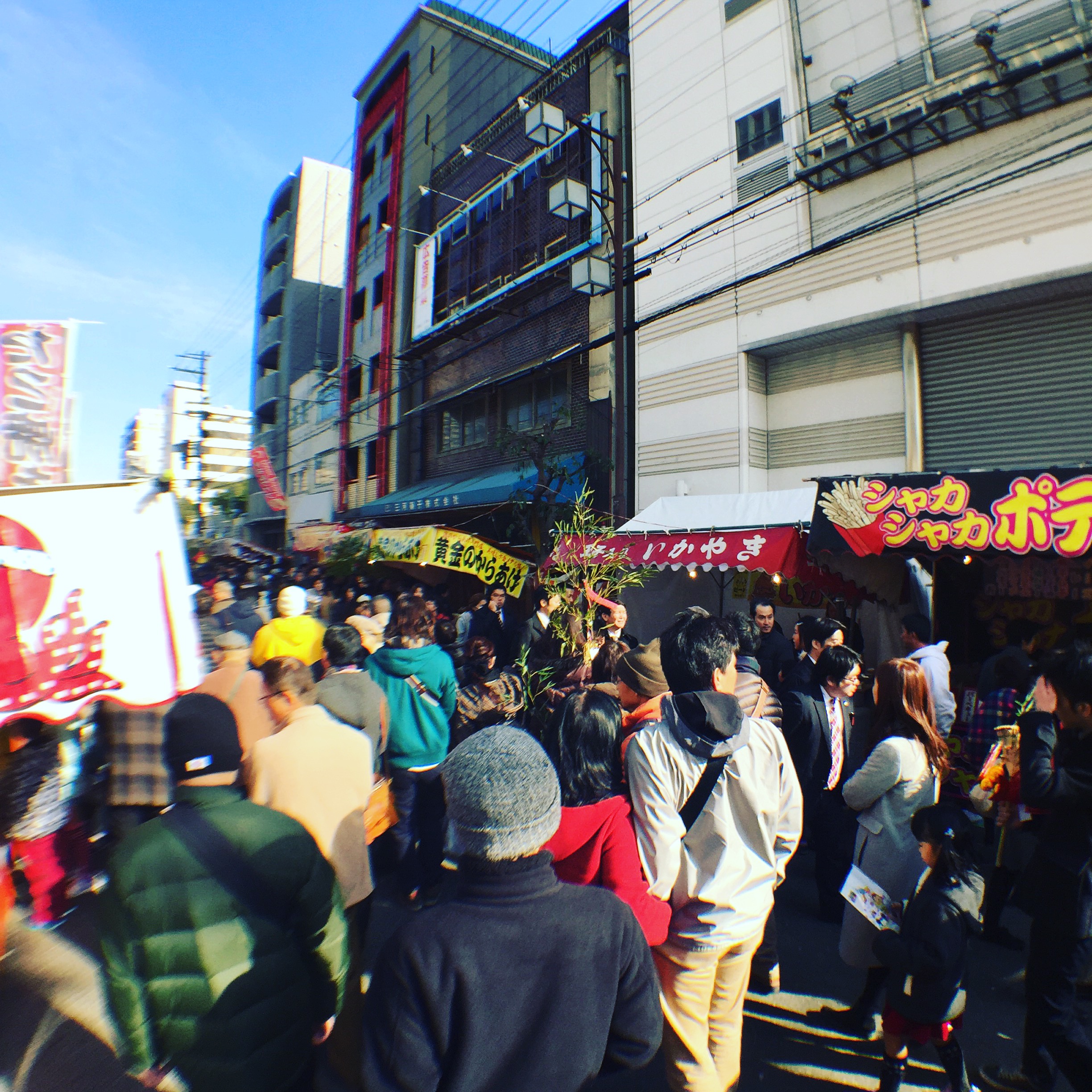 写真 2016-01-10 11 10 57