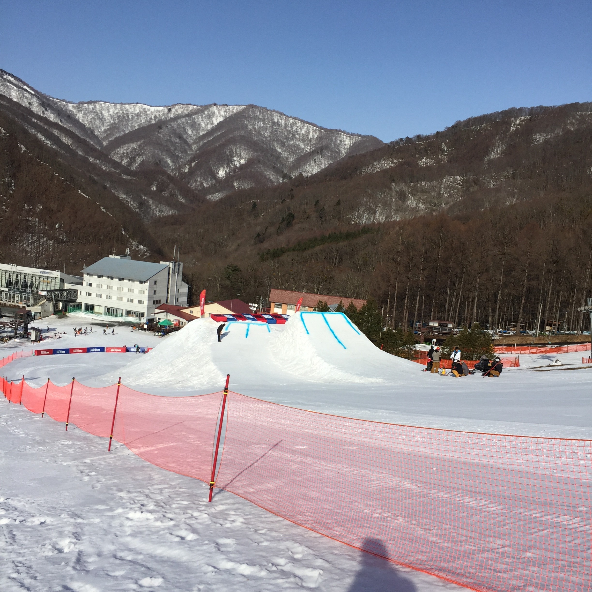 写真 2016-03-08 8 21 55