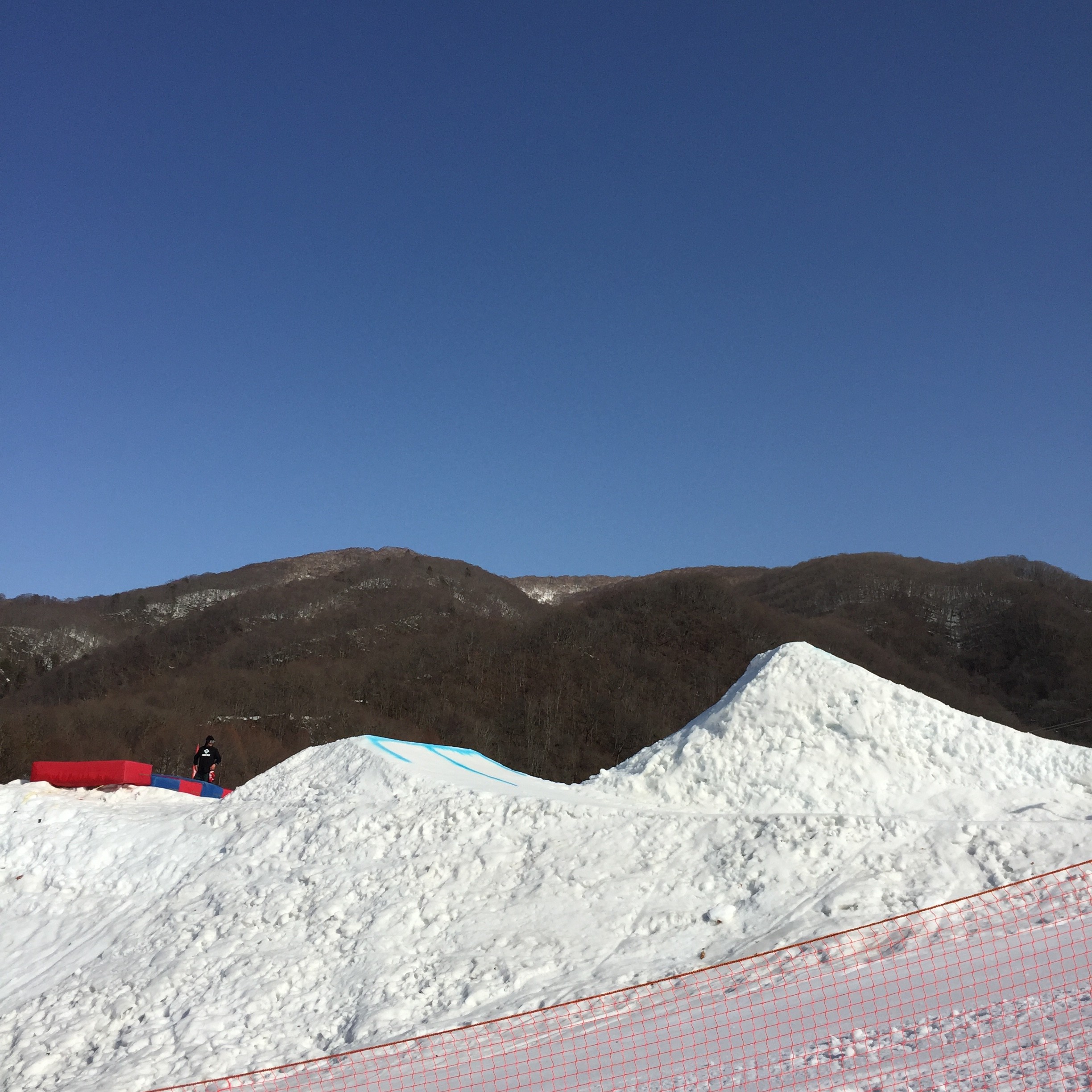 写真 2016-03-08 8 22 09