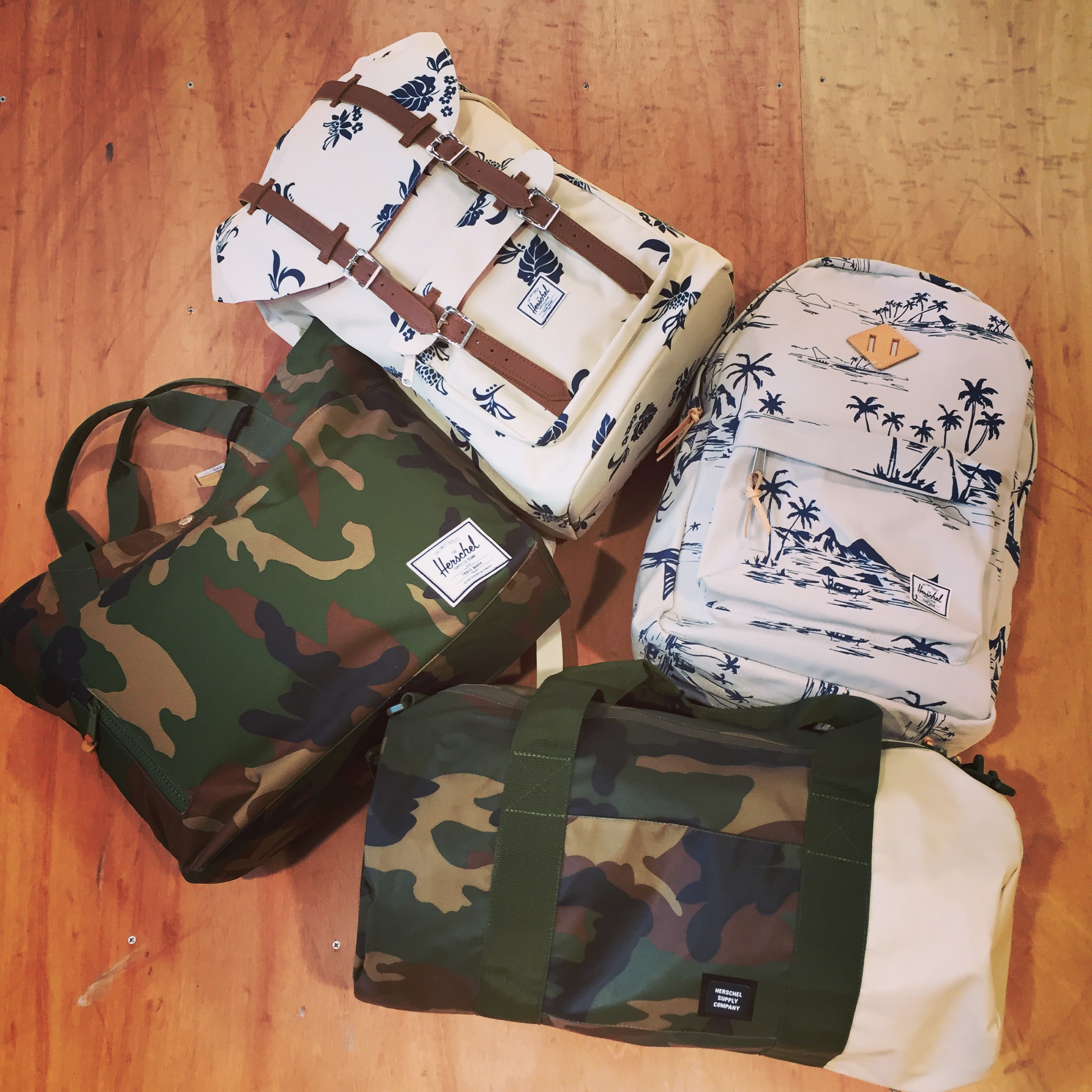 写真 2016-05-24 12 25 18