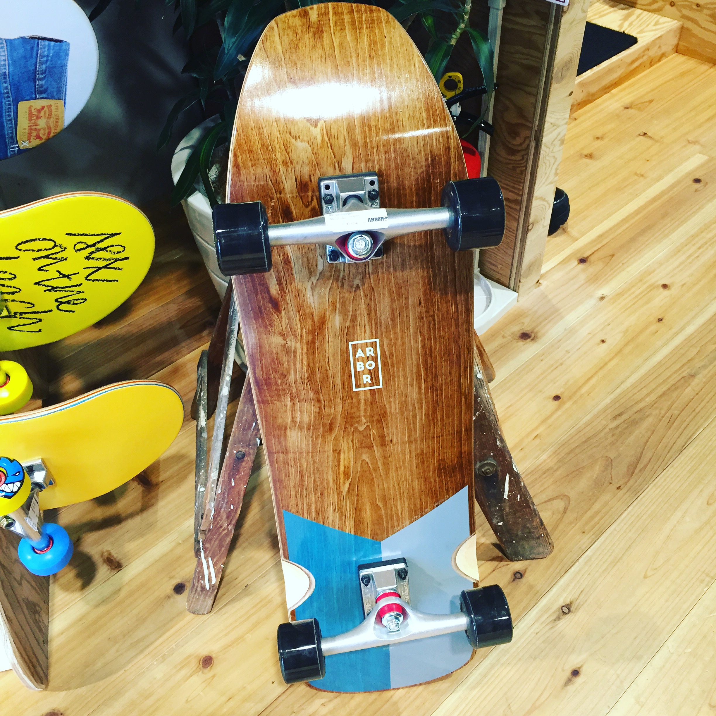 写真 2016-05-08 12 36 19