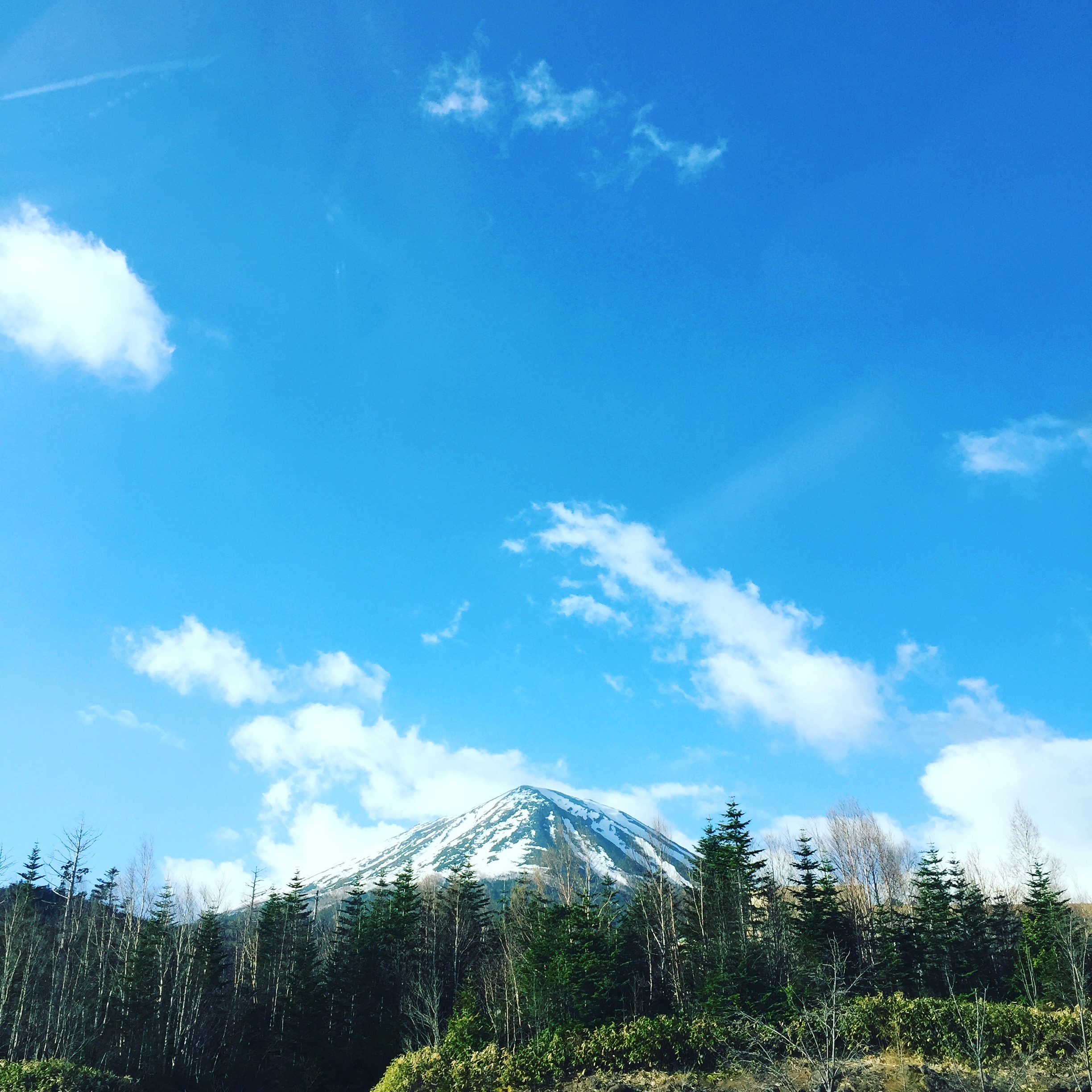 写真 2016-05-05 6 32 54