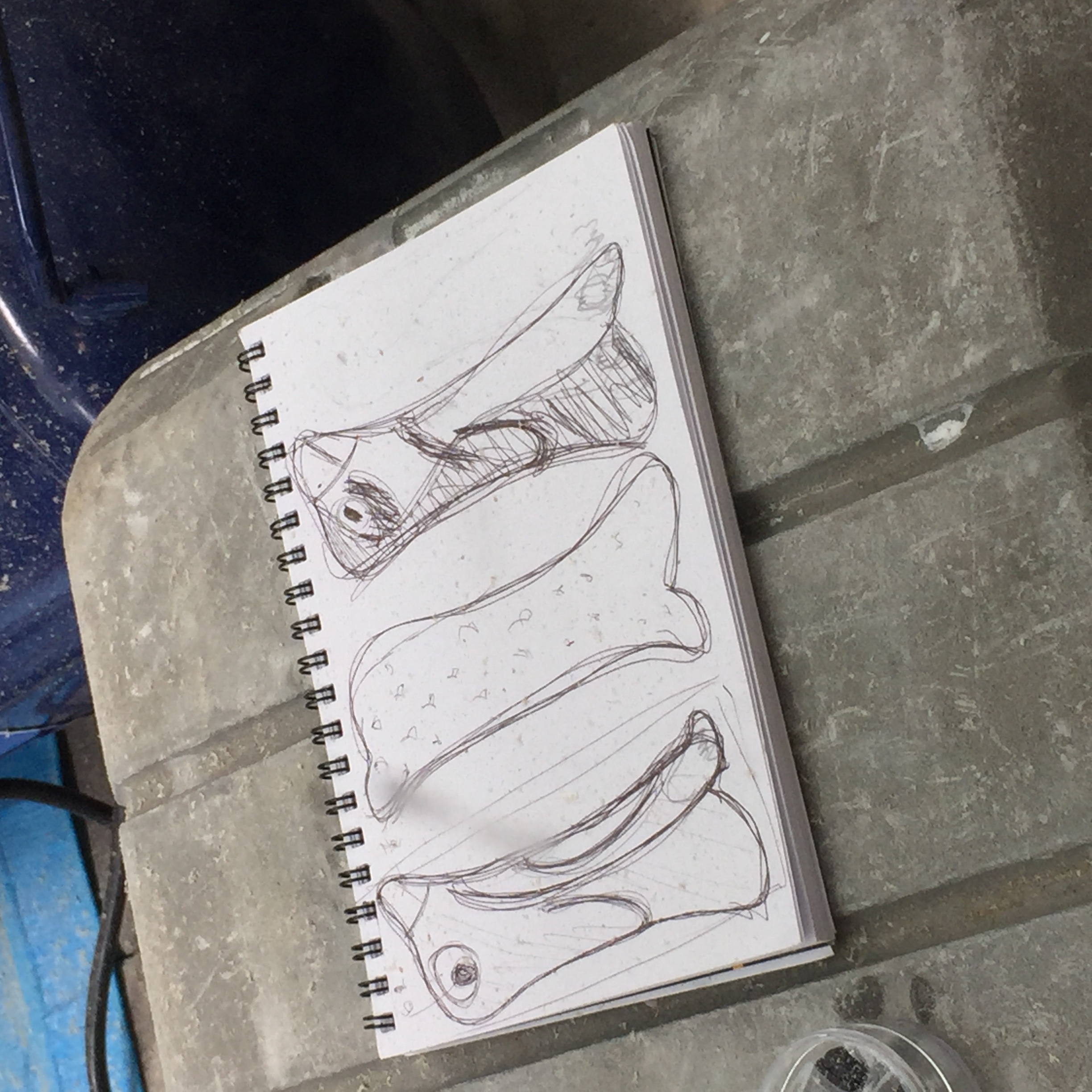 写真 2016-06-11 13 53 55