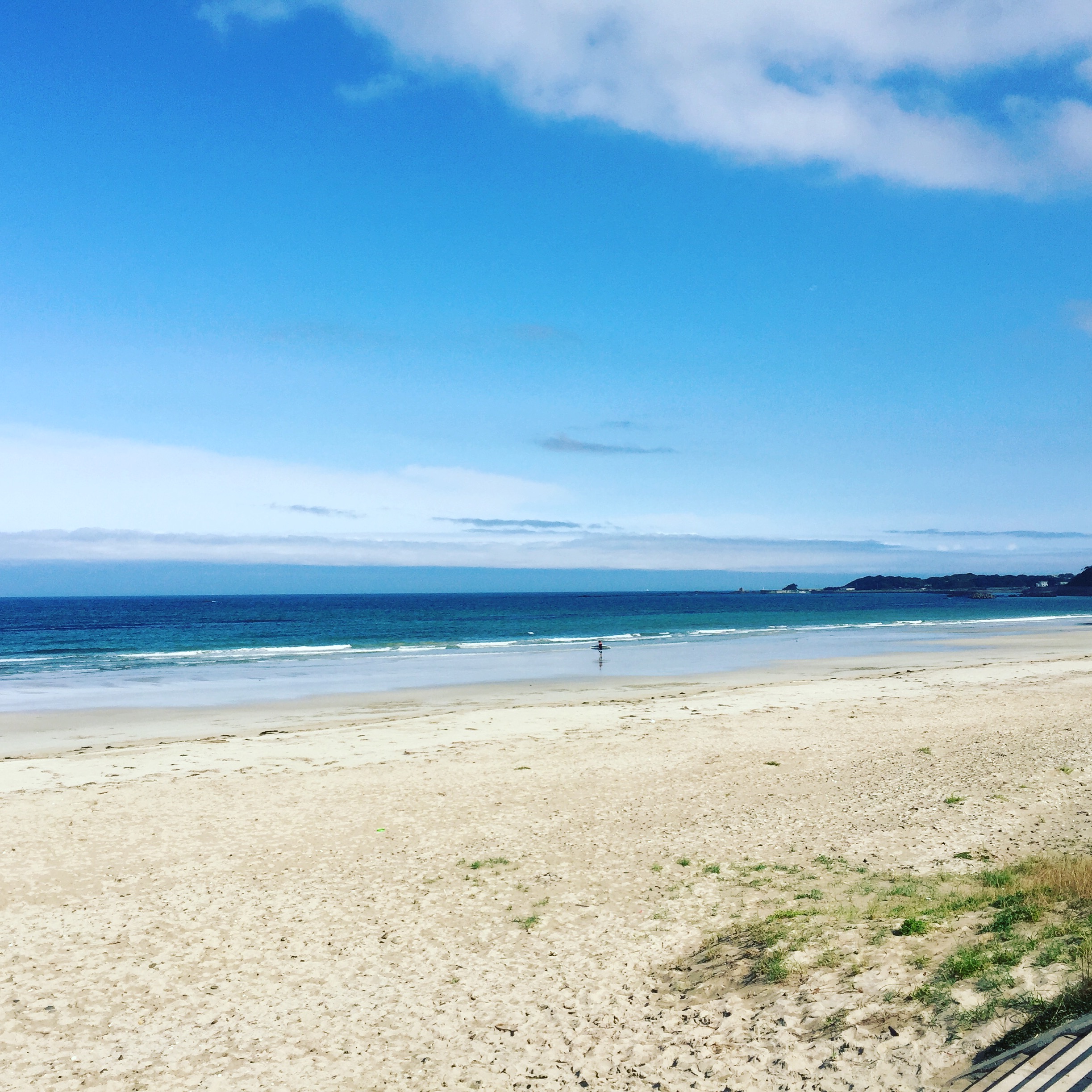 写真 2016-06-09 15 33 15